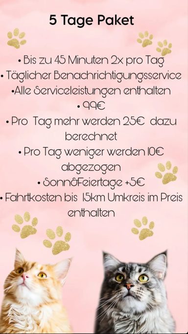 5 Tage Paket 5 Tage Paket