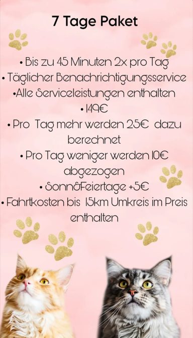 7 Tage Paket 7 Tage Paket